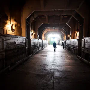 Into the Light